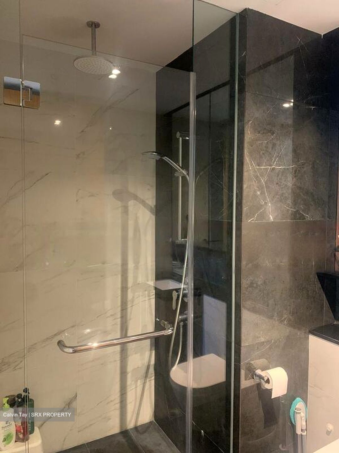 The Verandah Residences (D5), Apartment #466407441